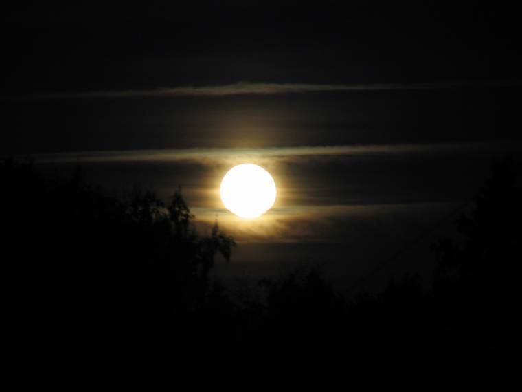 IMG_3474.JPG